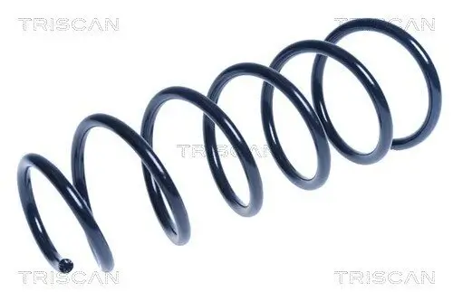 Fahrwerksfeder Vorderachse TRISCAN 8750 2142