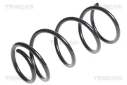 Fahrwerksfeder Hinterachse TRISCAN 8750 2143