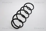 Fahrwerksfeder Vorderachse TRISCAN 8750 23104