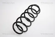 Fahrwerksfeder Hinterachse TRISCAN 8750 23106