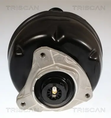 Fahrwerksfeder Hinterachse TRISCAN 8750 23112 Bild Fahrwerksfeder Hinterachse TRISCAN 8750 23112