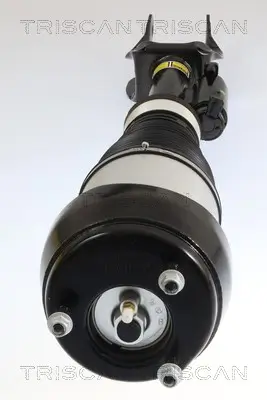 Fahrwerksfeder Vorderachse TRISCAN 8750 23126 Bild Fahrwerksfeder Vorderachse TRISCAN 8750 23126