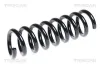 Fahrwerksfeder Hinterachse TRISCAN 8750 23134
