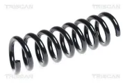 Fahrwerksfeder Hinterachse TRISCAN 8750 23134