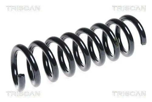 Fahrwerksfeder Hinterachse TRISCAN 8750 23134 Bild Fahrwerksfeder Hinterachse TRISCAN 8750 23134