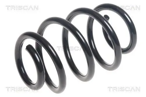 Fahrwerksfeder Hinterachse TRISCAN 8750 23190