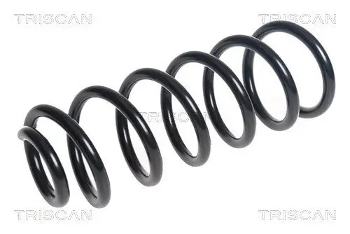 Fahrwerksfeder Vorderachse TRISCAN 8750 23205