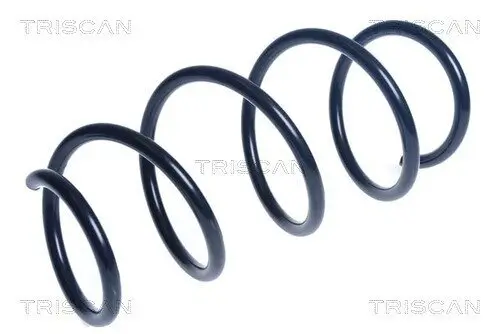 Fahrwerksfeder Vorderachse TRISCAN 8750 23229