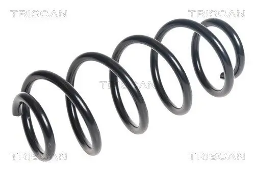 Fahrwerksfeder Hinterachse TRISCAN 8750 23230 Bild Fahrwerksfeder Hinterachse TRISCAN 8750 23230