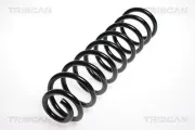 Fahrwerksfeder Vorderachse TRISCAN 8750 2385