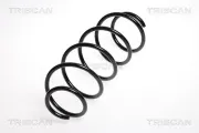 Fahrwerksfeder Vorderachse TRISCAN 8750 2392