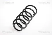 Fahrwerksfeder Hinterachse TRISCAN 8750 2393