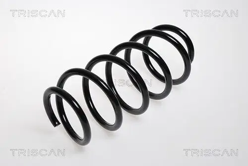 Fahrwerksfeder Vorderachse TRISCAN 8750 24052