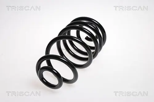 Fahrwerksfeder Hinterachse TRISCAN 8750 24125
