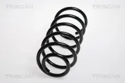 Fahrwerksfeder Hinterachse TRISCAN 8750 24134