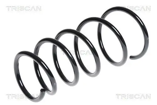 Fahrwerksfeder Vorderachse TRISCAN 8750 24145