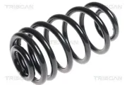 Fahrwerksfeder Hinterachse TRISCAN 8750 24166