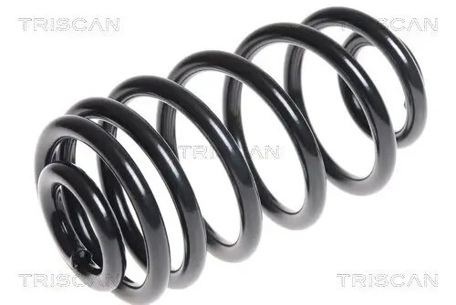 Fahrwerksfeder Hinterachse TRISCAN 8750 24166 Bild Fahrwerksfeder Hinterachse TRISCAN 8750 24166