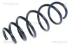 Fahrwerksfeder Vorderachse TRISCAN 8750 24181