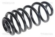 Fahrwerksfeder Hinterachse TRISCAN 8750 24189