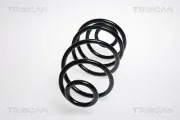 Fahrwerksfeder Hinterachse TRISCAN 8750 24190