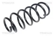 Fahrwerksfeder Vorderachse TRISCAN 8750 24198