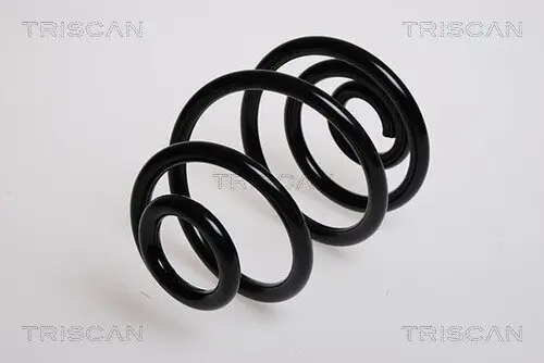 Fahrwerksfeder Hinterachse TRISCAN 8750 24235