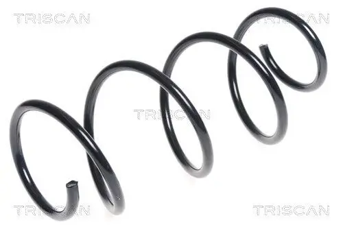 Fahrwerksfeder Vorderachse TRISCAN 8750 25123