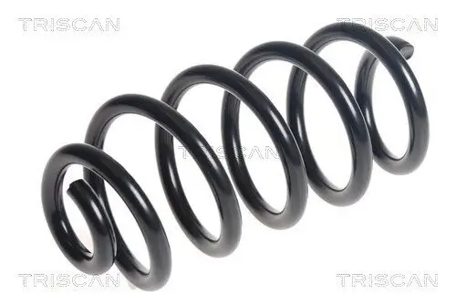 Fahrwerksfeder Hinterachse TRISCAN 8750 25138