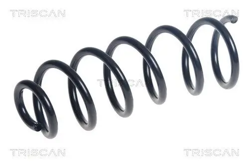 Fahrwerksfeder Hinterachse TRISCAN 8750 25139 Bild Fahrwerksfeder Hinterachse TRISCAN 8750 25139