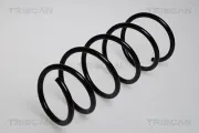 Fahrwerksfeder Vorderachse TRISCAN 8750 2514