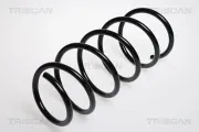 Fahrwerksfeder Vorderachse TRISCAN 8750 2520