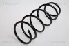 Fahrwerksfeder Vorderachse TRISCAN 8750 2521