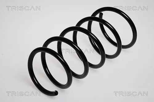 Fahrwerksfeder Vorderachse TRISCAN 8750 2523