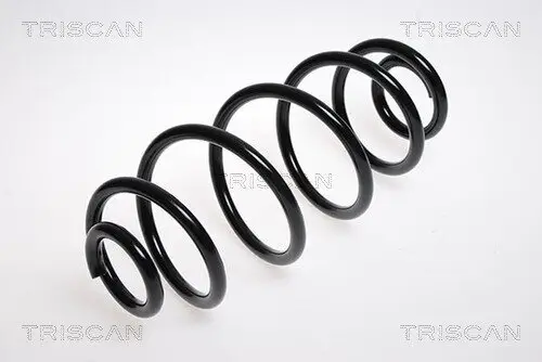 Fahrwerksfeder Hinterachse TRISCAN 8750 2541