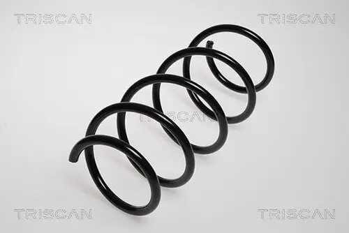 Fahrwerksfeder Vorderachse TRISCAN 8750 2550