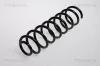 Fahrwerksfeder Hinterachse TRISCAN 8750 2553