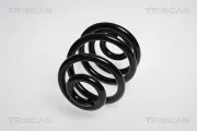 Fahrwerksfeder Hinterachse TRISCAN 8750 2588