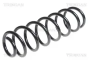 Fahrwerksfeder Hinterachse TRISCAN 8750 2594