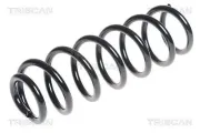 Fahrwerksfeder Hinterachse TRISCAN 8750 2599