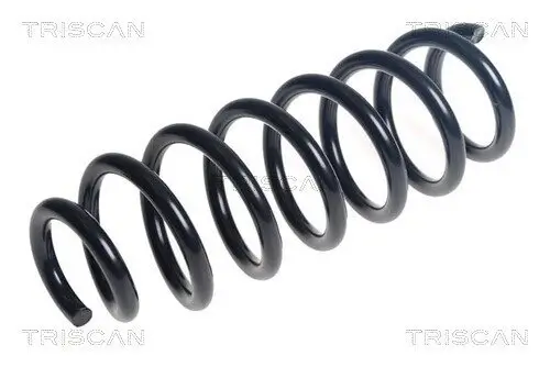 Fahrwerksfeder Vorderachse TRISCAN 8750 27136
