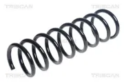 Fahrwerksfeder Hinterachse TRISCAN 8750 27142