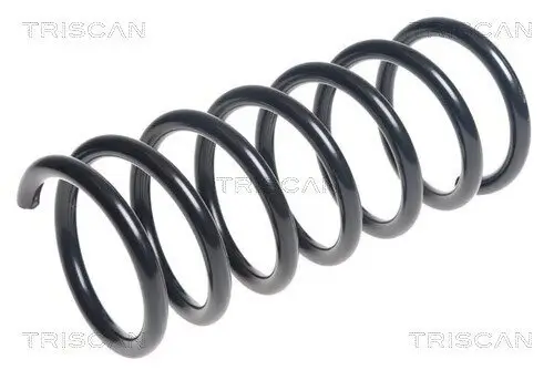 Fahrwerksfeder Hinterachse TRISCAN 8750 27146