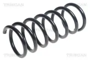 Fahrwerksfeder Hinterachse TRISCAN 8750 27146