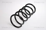 Fahrwerksfeder Hinterachse TRISCAN 8750 2758