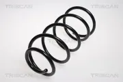 Fahrwerksfeder Vorderachse TRISCAN 8750 2765