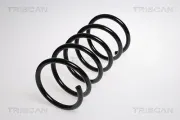 Fahrwerksfeder Hinterachse TRISCAN 8750 2769
