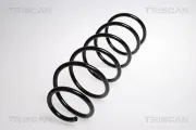 Fahrwerksfeder Vorderachse TRISCAN 8750 2773