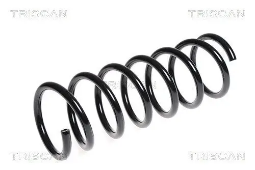 Fahrwerksfeder Hinterachse TRISCAN 8750 2790