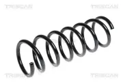 Fahrwerksfeder Hinterachse TRISCAN 8750 2790